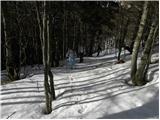 Bohinjsko sedlo - Šavnik